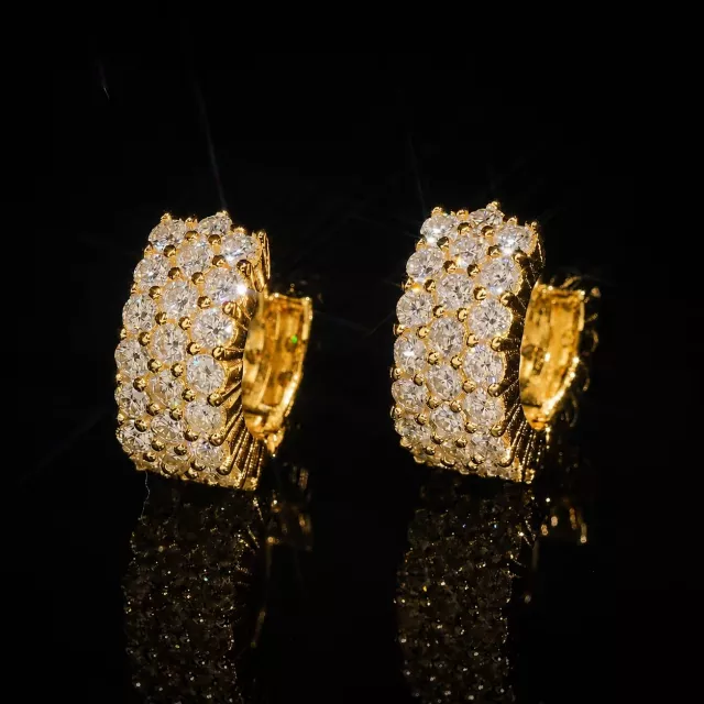 Hoop Earrings